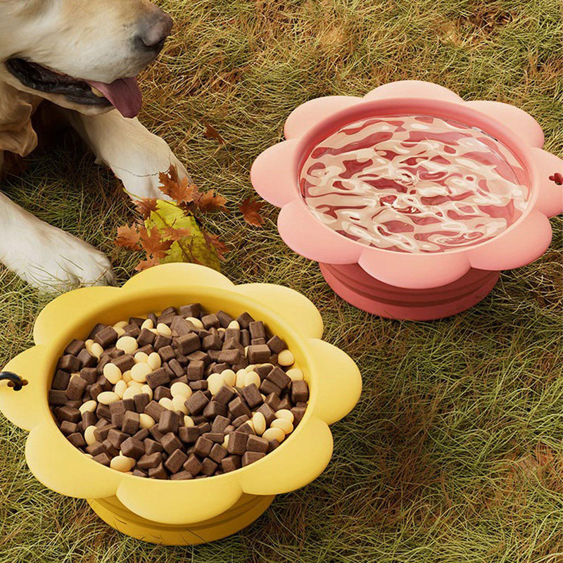 Outdoor Pet Feeding Cup 2-in-1 - Foldable Backpack Small review and price